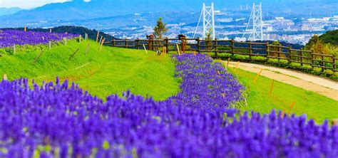 名古屋から淡路島：食文化と風景の交差点